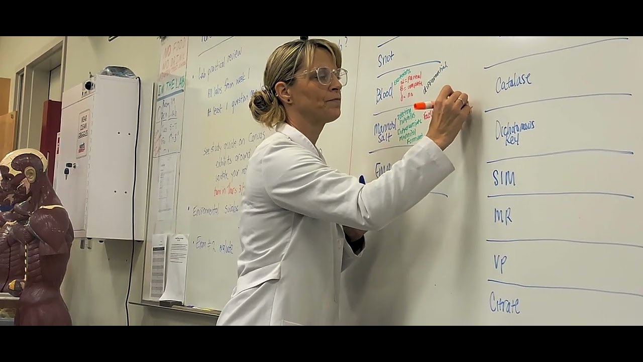 Lab Practical 2 - YouTube