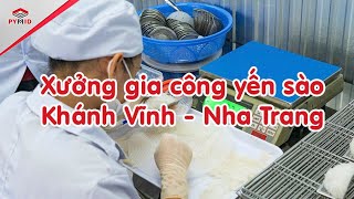 Xưởng Gia Công Yến Sào Khánh Vĩnh - Nha Trang Pymid