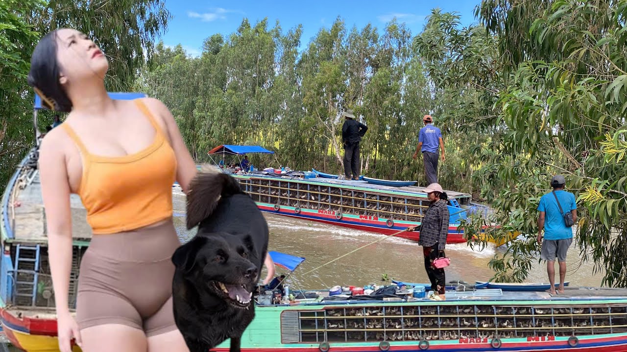 Full Video: Incredible Duck Delivery – 50KM Boat Ride with Thousands of Ducks in Vietnam