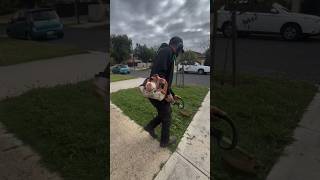 Council Strip Clean-Up Done Right