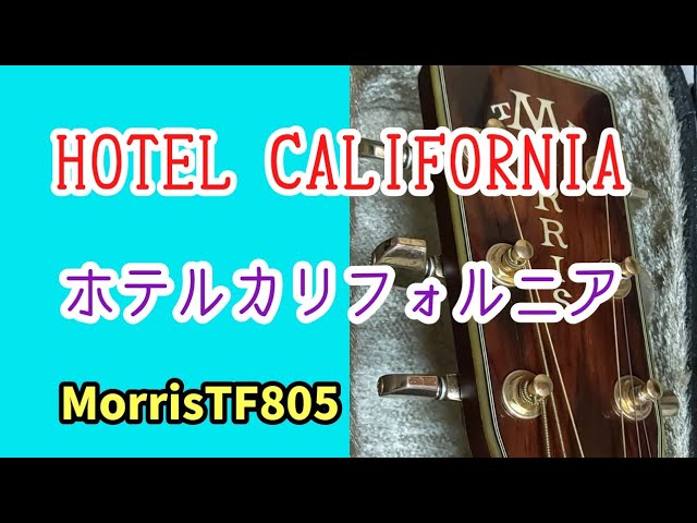 Blue.Bell.F-300ヴィンテージトップ単板ハードケース付き。 Blue.Bell.F-300ヴィンテージトップ単板ハードケース付き。