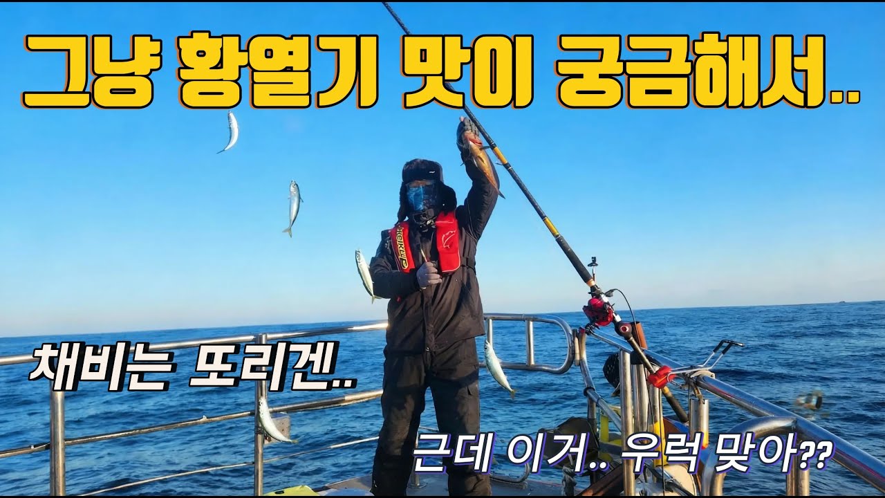 처음 만난 황열기낚시 - 황열기, 얼마나 맛있게요? #장프로호 #임원항 #씨호크 #어택열기