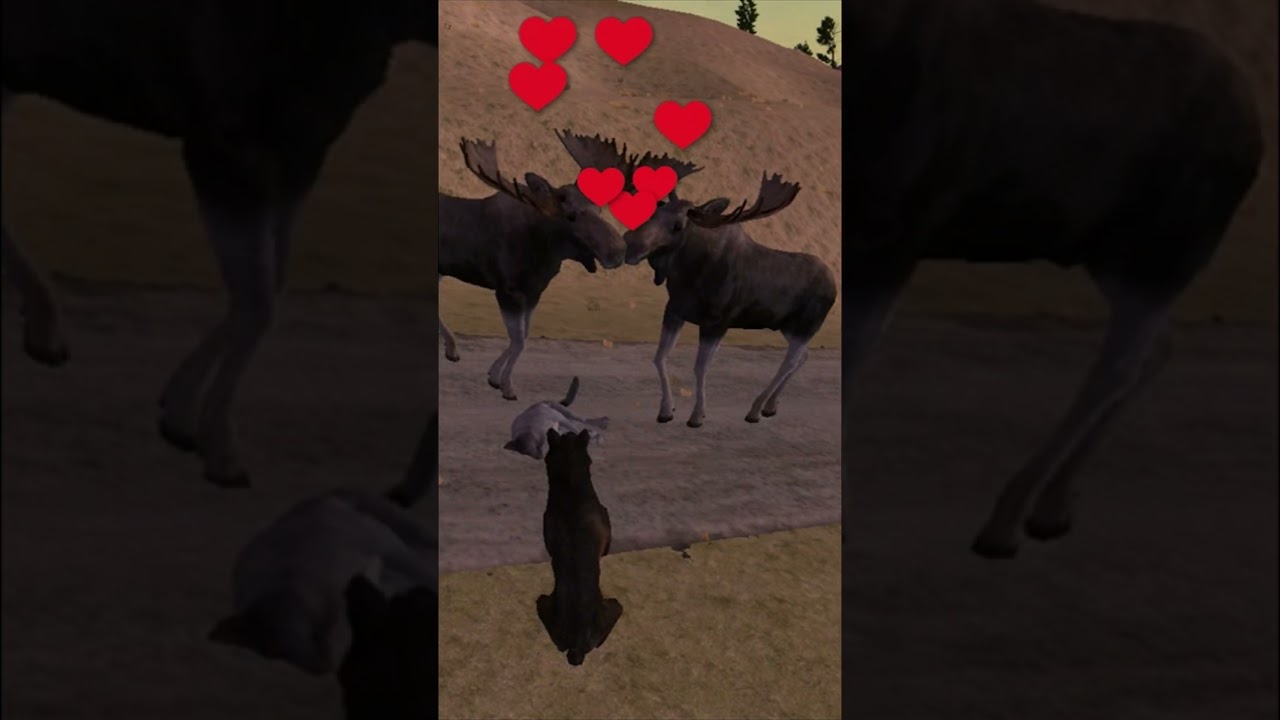 Cupid Quest! Reunited at last! #ravenquest #valentinesday #wolfquest #viral #lovestory