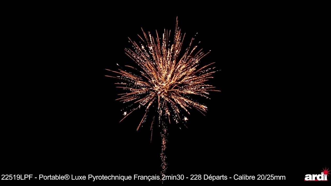 Feu d'artifice automatique Portable LUXE x 7 mn Champs Élysées