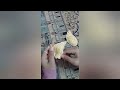 طريقه عمل جناح الكتكوت بالكروشيه      