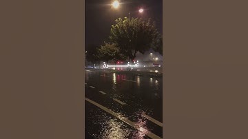 سورة الروم