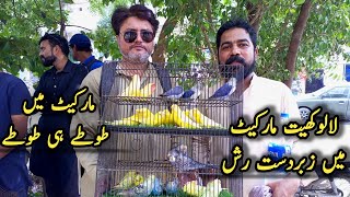 Biggest Birds Market Lalukhet Karachi Reasonable Price All Parrot