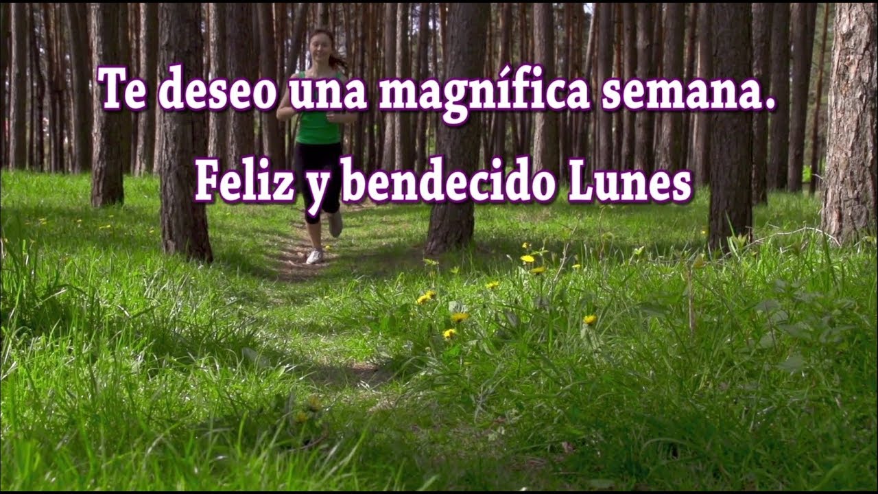 Feliz y Bendecido Lunes donante y donatario