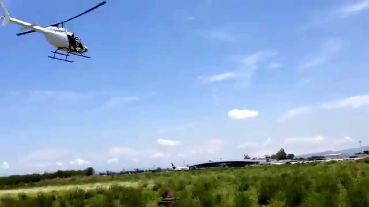 Control de fauna culiacan