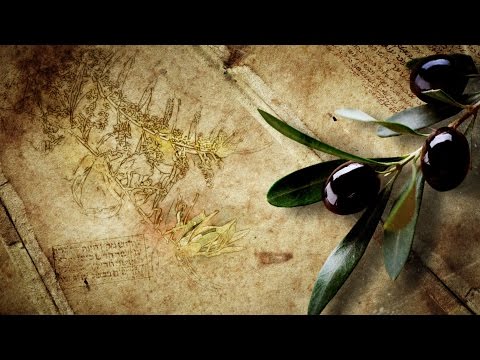 Мир Библии 4. Библейские животные
