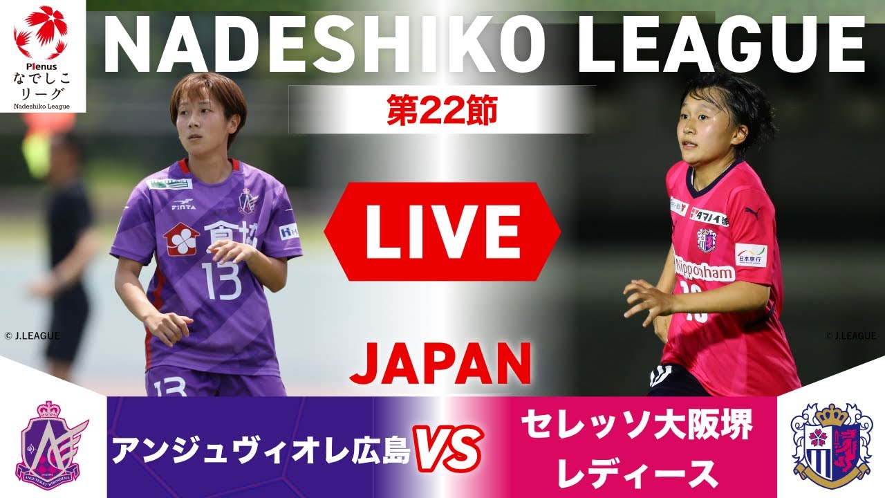 Nadeshiko League Japan Women S Football League