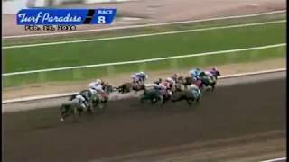 Turf Paradise Derby 2018
