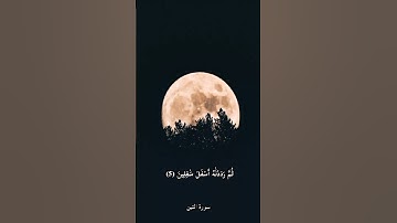 قراءة من سورة التين / الشيخ علي الحذيفي حفظه الله