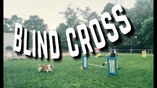 Timing in Blind Cross