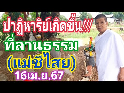 ปาฏิหาริย์เกิดขึ้น!!! ที่ลานธรรม(แม่ชีไสย) งวด16เม.ย.67