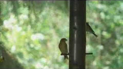 MPEG-4 700kbps ffmpeg