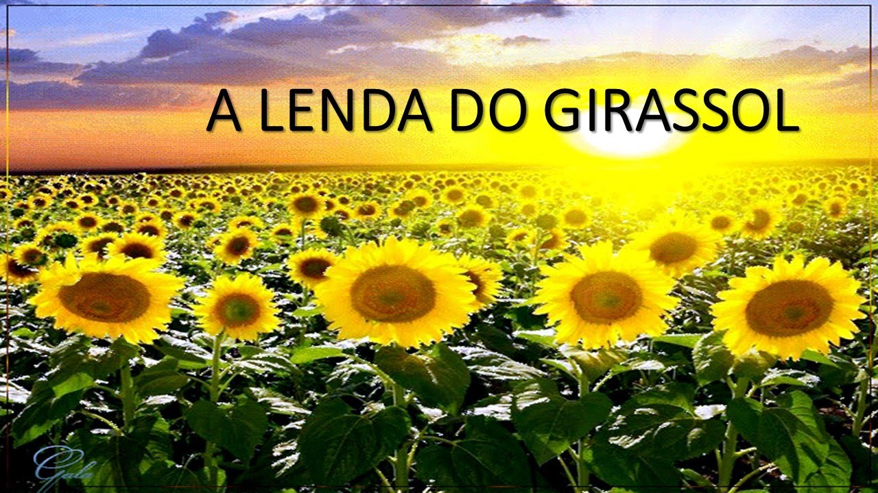 A LENDA DO GIRASSOL - ATIVIDADES EDUCATIVAS - YouTube