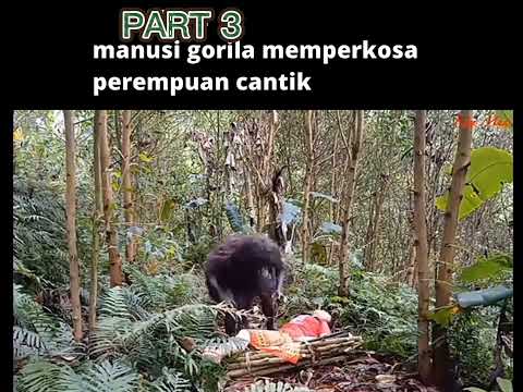 PART3 manusia gorila memperkosa wanita cantik