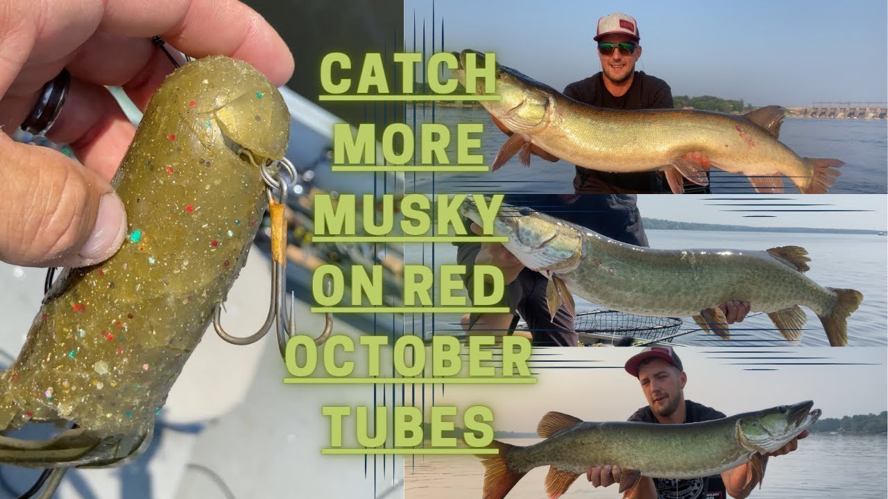 3 Musky SOLO (Epic Morning Tubes and Blades) 