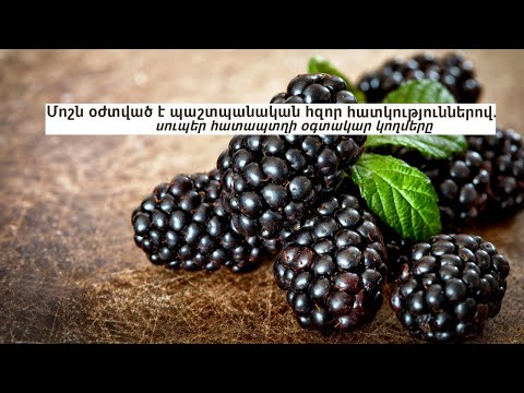 Video: Արդյո՞ք Bacillus subtilis աճեցվում է MacConkey ագարի վրա: