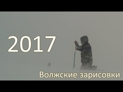 Волжские зарисовки 2017. Ловля на балансир.