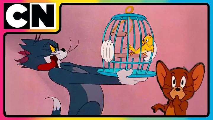 Tom & Jerry 😍| Bird Rescue Turns Chaotic!✨| Cat & The Mouse✨| Cartoon for Kids | @cnindia