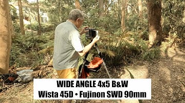 WIDE ANGLE Large Format 4x5 B+W – Wista 45D – Fujinon SWD 90mm f5.6 – Artarmon Reserve – Fomapan 100