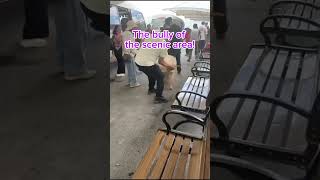 The bully of the scenic area!🤣