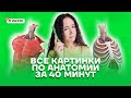 Все картинки по анатомии за 40 минут | Биология ЕГЭ 2022 | Умскул