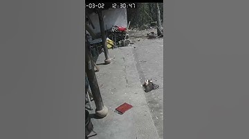 Thấy đại bàng lao xuống bắt gà mái, gà trống hùng hổ xông tới giải cứu rồi nhận cái kết bẽ mặt