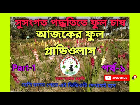 ভিডিও: কীভাবে স্কিমা তৈরি করবেন