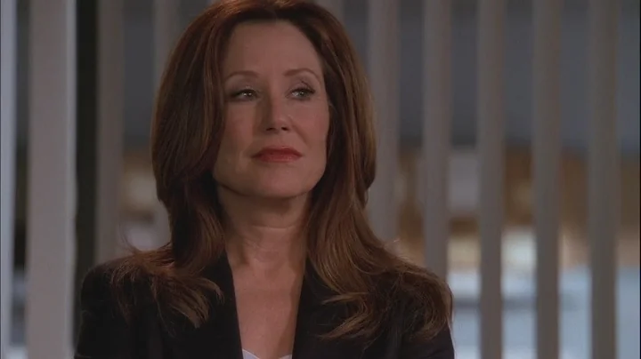 Mary McDonnell - The Closer (Sharon Raydor)