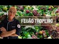 Feijão tropeiro mineirinho