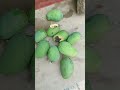 masti #trending #video @highlight namaste 🙏🏻