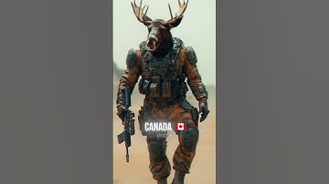 COUNTRIES AS SOLDIERS 💀 #countries #midjourney #midjourneyai #midjourneyaiart  #ai #aiart #animals