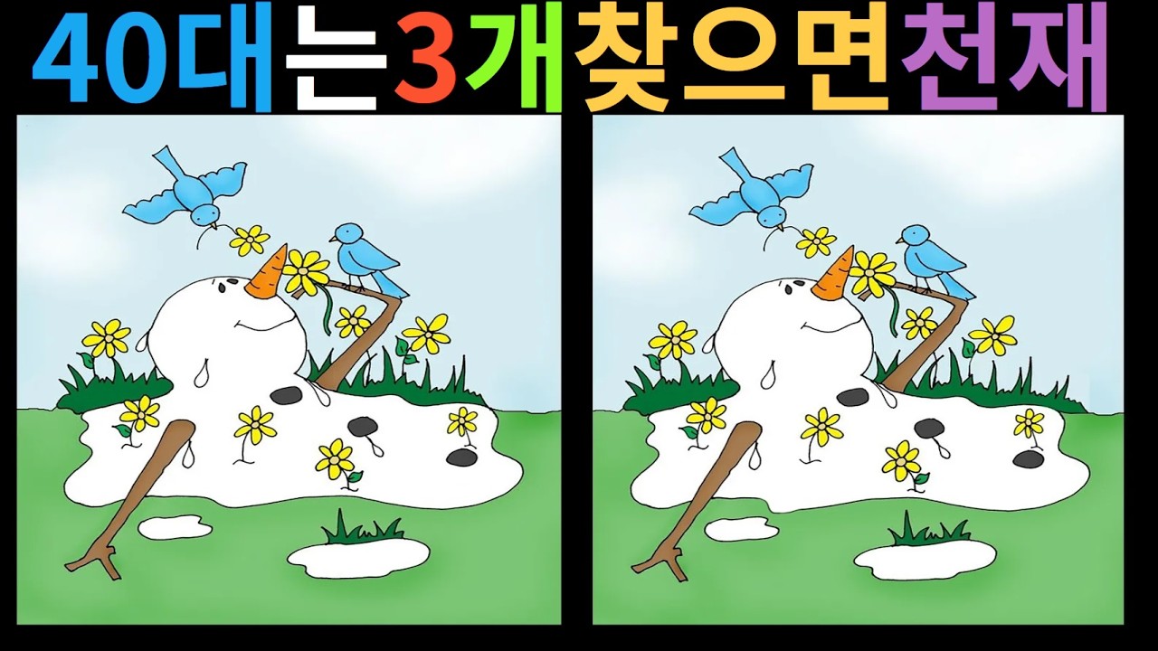 【다른그림찾기/두뇌훈련/집중력강화] #findthedifference #spotthedifference # ...