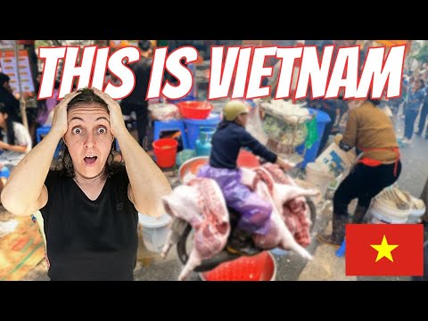 FIRST TIME IN VIETNAM - Street Food, Crazy Traffic, Halong Bay WE DID SOMETHING WE NEVER THOUGHT OF