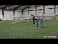AKC open-std Rivit and Cindy 3-8-26 