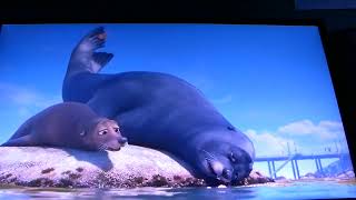 Finding Dory - Off the Rock