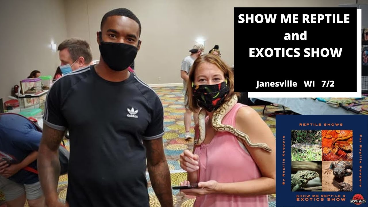Show Me Reptile and Exotics Reptile Show | July 2020 - YouTube
