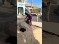 मिट्टी से हम जुड़े हुए ❤️‍🩹🌾#trending#viral#ytshorts