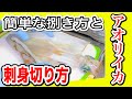 アオリイカさばき方　締め方　刺身切り方と下足の下処理　捌き方薄皮取り方簡単解説How to filet Oval Squid mantle