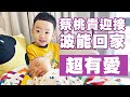 【蔡桃貴】看到蔡波能回家的第一個反應，超有愛！(1Y9M23D)