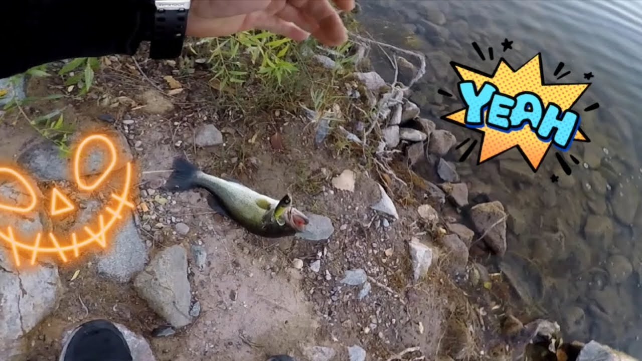 Bass Fishing at Tingley (my 1st on a whopper plopper)