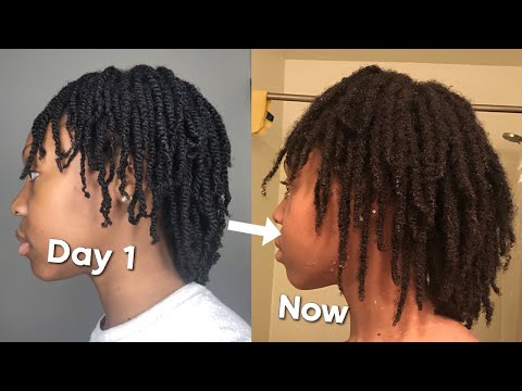 9 Month Visual Loc Journey With Pictures and Videos | Two Strand Twists