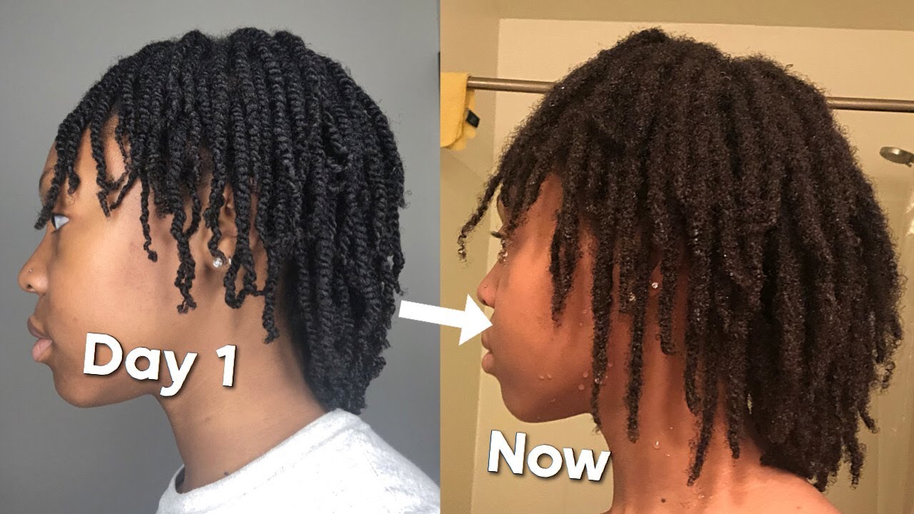9 Month Visual Loc Journey With Pictures and Videos | Two Strand Twists