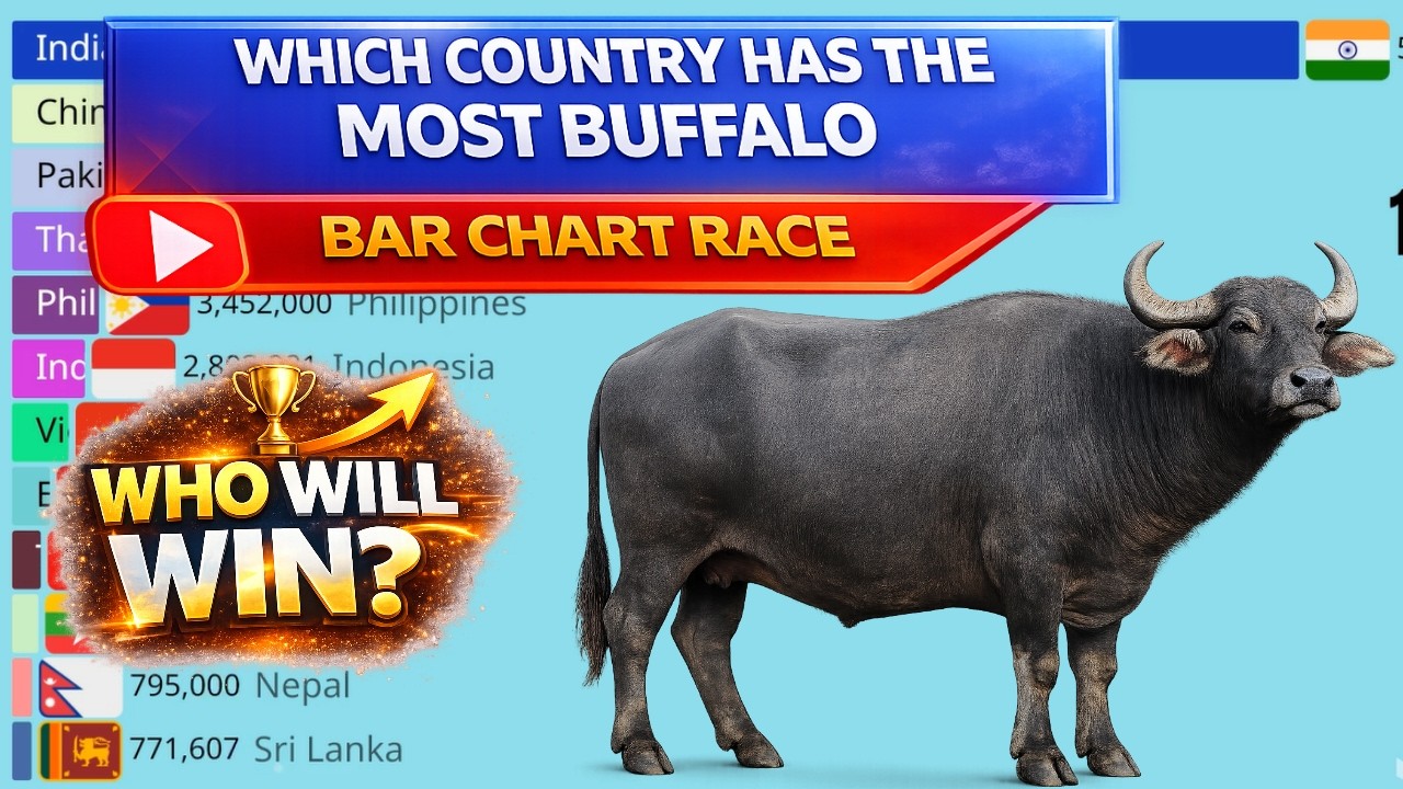 🐃 Top Buffalo Population by Countries | Bar Chart Race (1961-2024) 🌍 #buffalo
