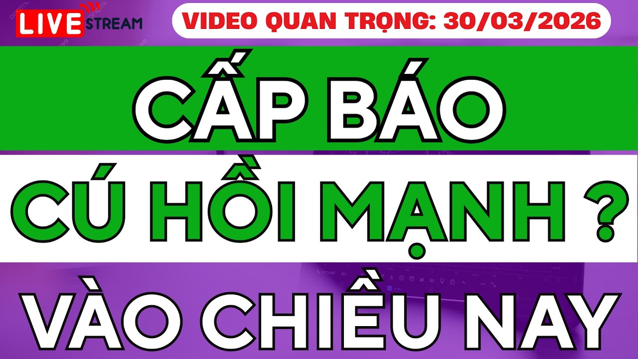 🚨 CẤP BÁO: Thị Trường Chứng Khoán SẮP HỒI MẠNH Chiều Nay? Nên Mua Cổ Phiếu Gì NGAY LÚC NÀY!