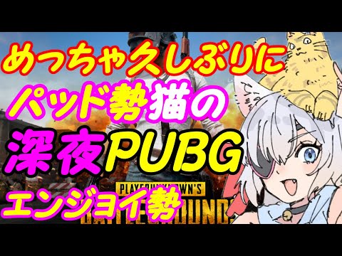 【PUBG】よわよわ猫のお散歩！049【VTuber】