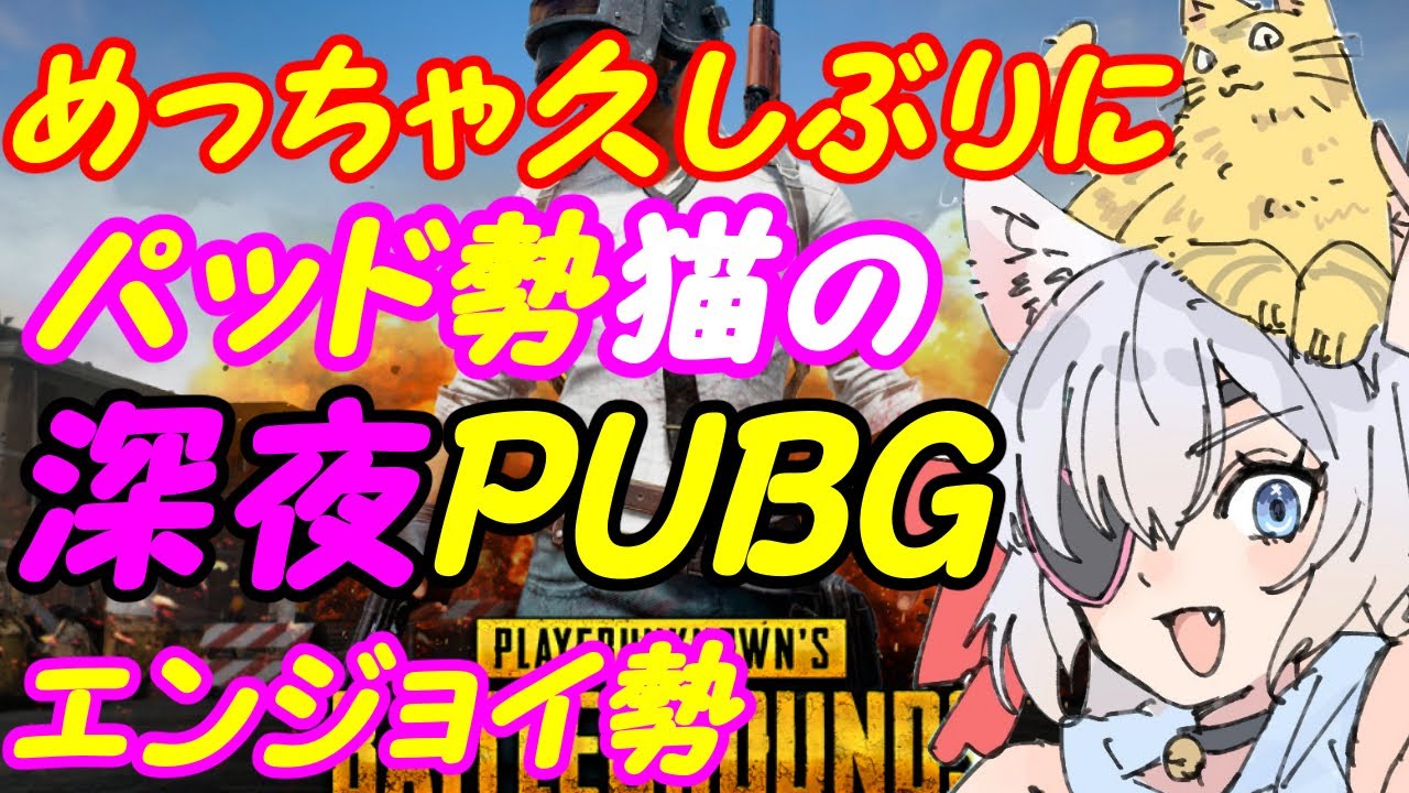 【PUBG】よわよわ猫のお散歩！049【VTuber】